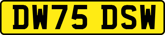 DW75DSW