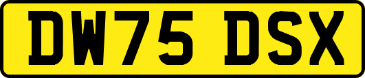 DW75DSX