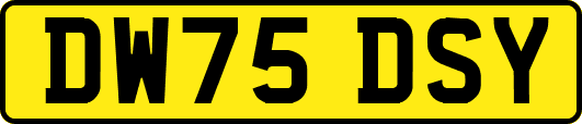 DW75DSY