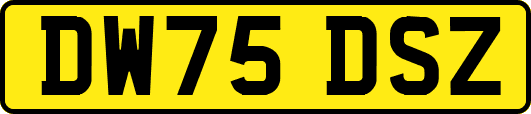 DW75DSZ