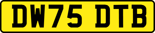 DW75DTB