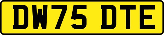 DW75DTE