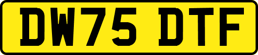 DW75DTF