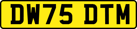 DW75DTM