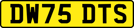 DW75DTS