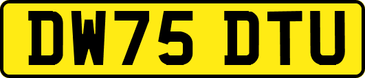 DW75DTU