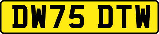 DW75DTW