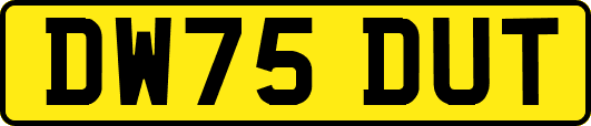 DW75DUT