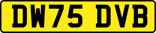 DW75DVB