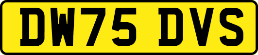 DW75DVS
