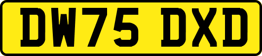 DW75DXD