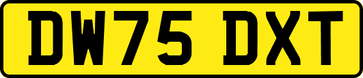 DW75DXT