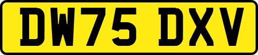 DW75DXV