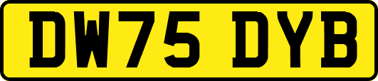DW75DYB