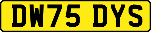 DW75DYS
