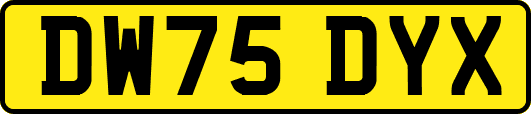 DW75DYX