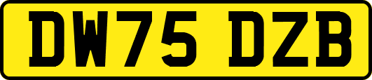 DW75DZB
