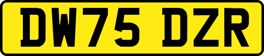 DW75DZR