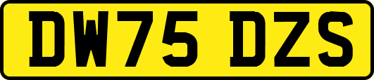 DW75DZS