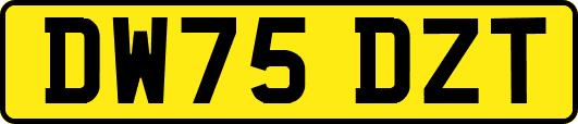 DW75DZT