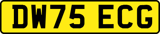DW75ECG