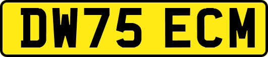 DW75ECM