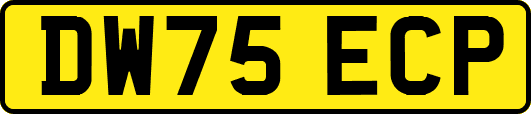 DW75ECP