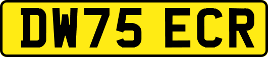 DW75ECR