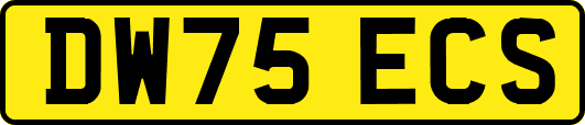 DW75ECS