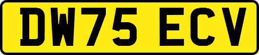 DW75ECV