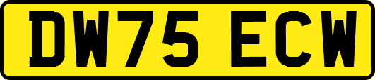 DW75ECW