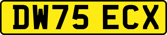 DW75ECX