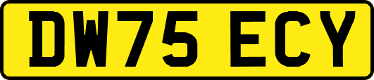 DW75ECY
