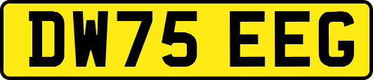 DW75EEG
