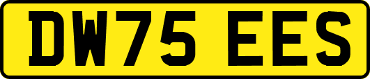 DW75EES