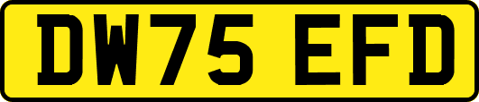 DW75EFD