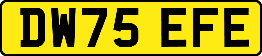 DW75EFE