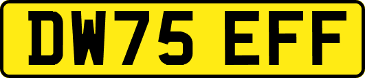 DW75EFF