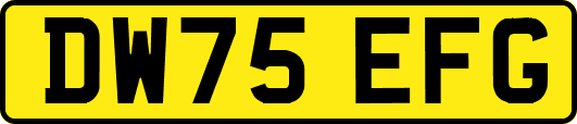 DW75EFG