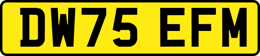 DW75EFM