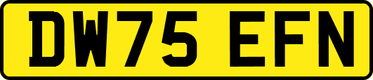 DW75EFN