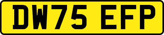 DW75EFP
