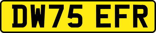 DW75EFR