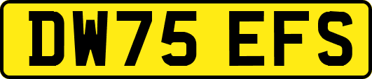 DW75EFS