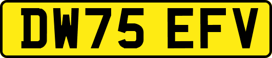 DW75EFV