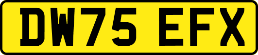 DW75EFX