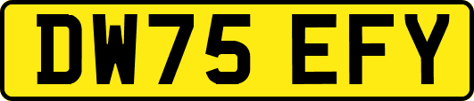 DW75EFY