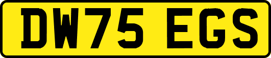 DW75EGS