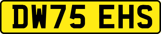 DW75EHS