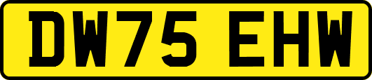 DW75EHW